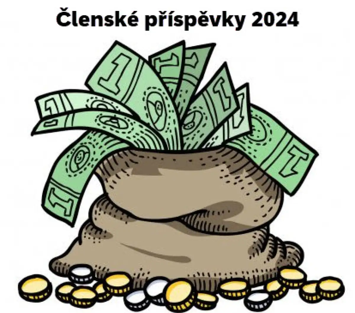 Členské příspěvky 2024