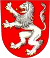 TJ Sokol Benešov nad Černou